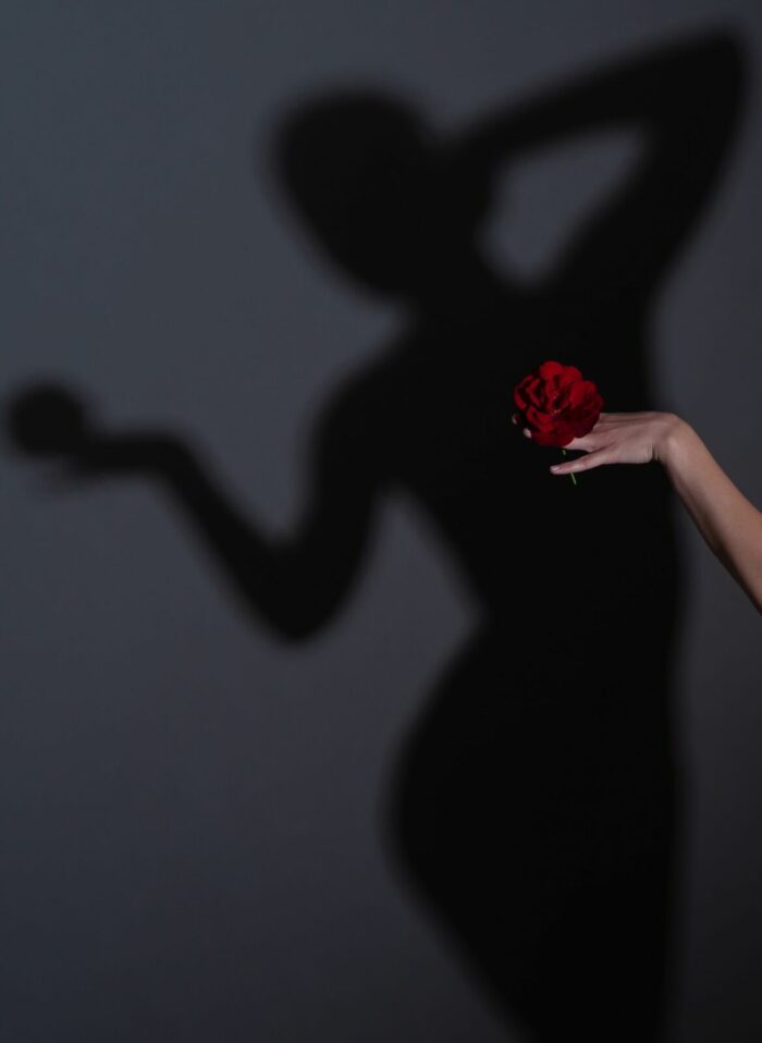 Rose weiß